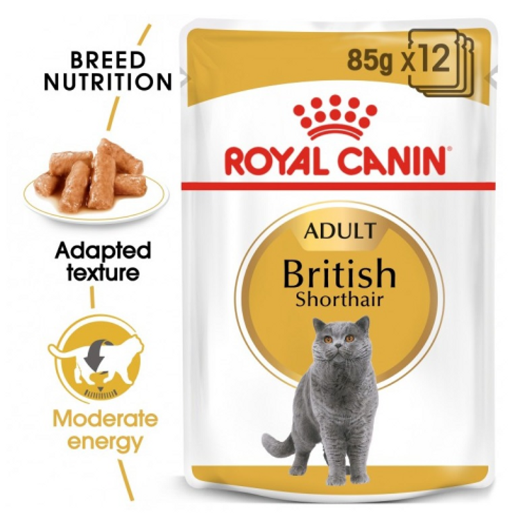 Royal Canin British Shorthair 1 x 85 grams
