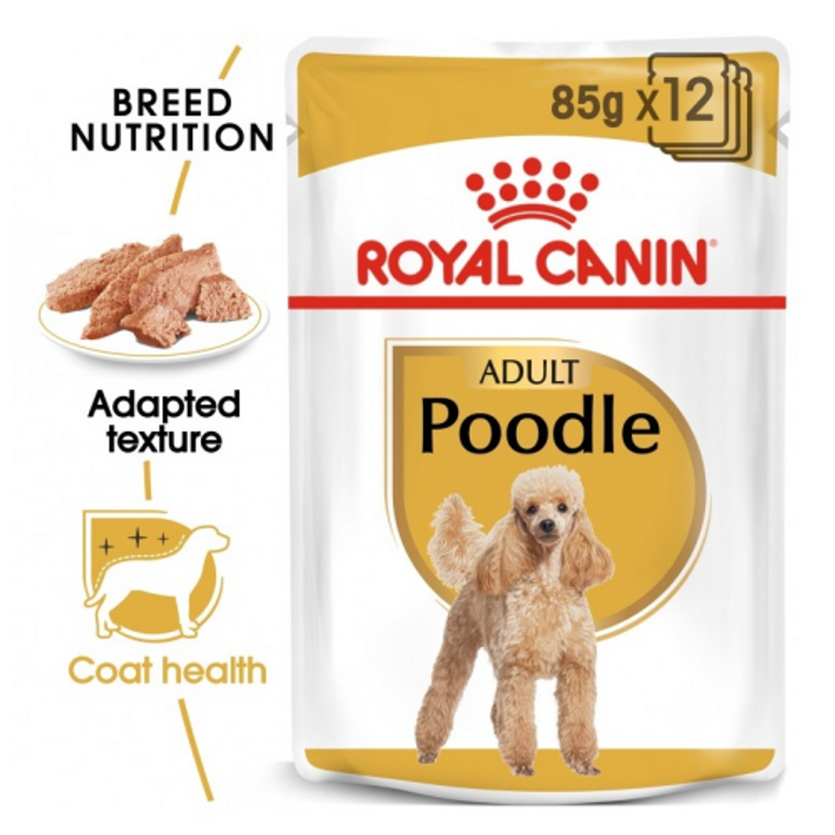 ROYAL CANIN BHN Poodle Adult 1X85G