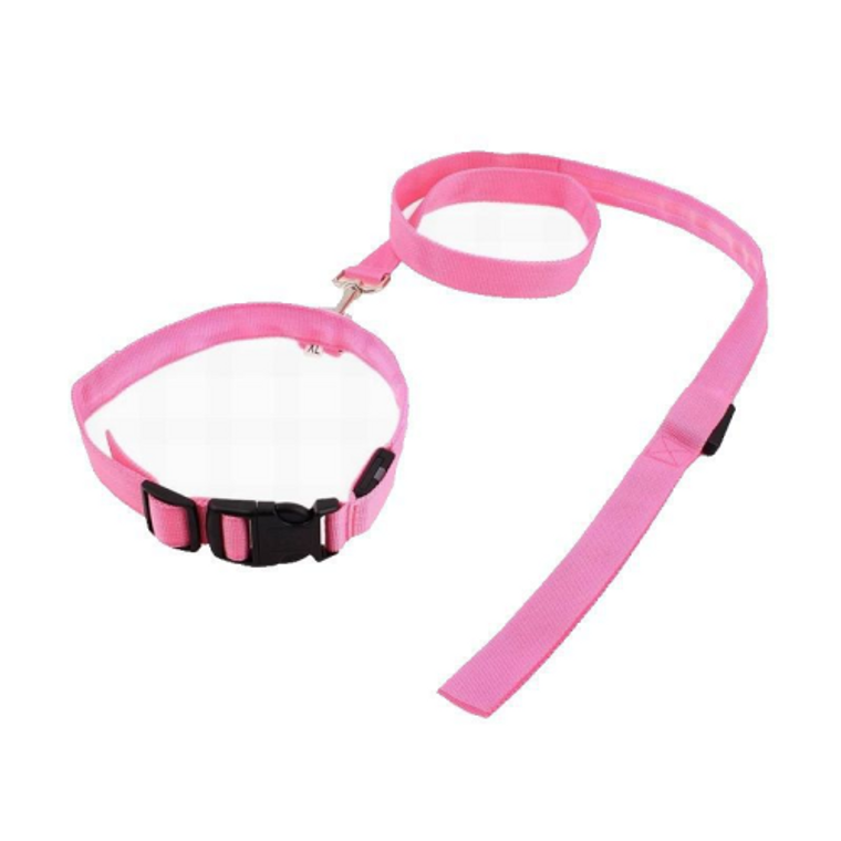 PUPPY SET COLLAR LEASH PINK 120CM