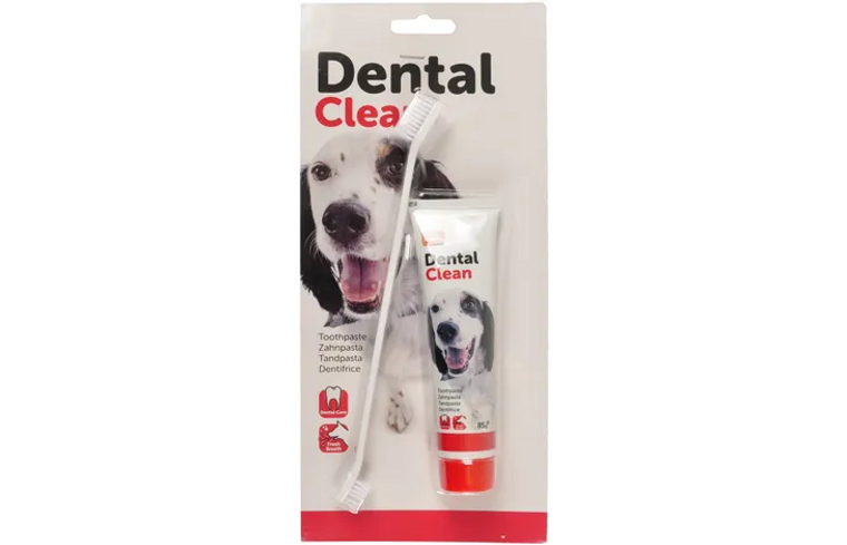 FLAMINGO DENTAL TOOTHPASTE & TOOTHBRUSH FOR DOGS 85G