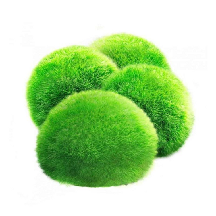 AQUARIUM HALF MOSSBALL 17CM