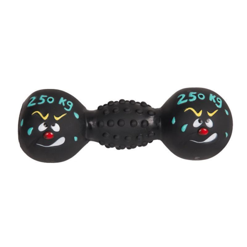 VINYL DUMBBELL 250KG