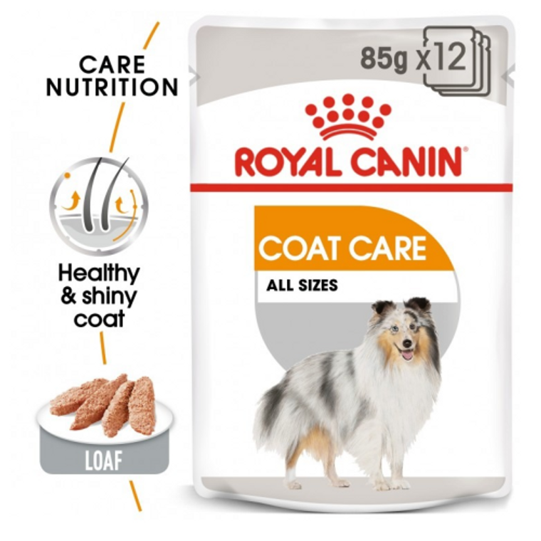 Royal Canin CCN COAT BEAUTY 1X85G