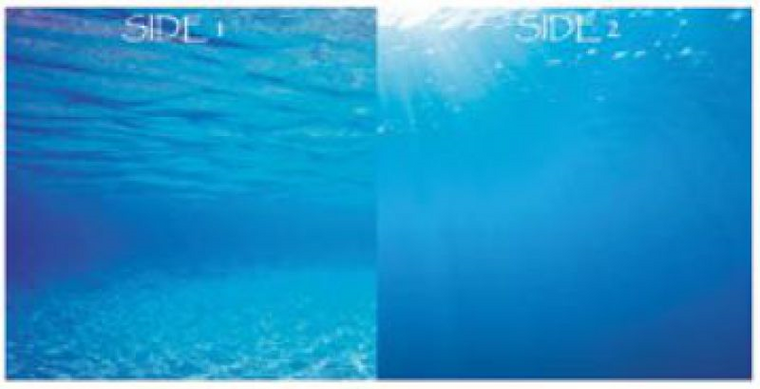 JUWEL POSTER 2 OCEAN XL SIZE100X60C