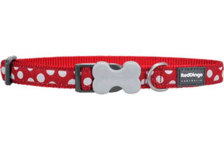 Dog Collar Design Wh/Spots on Red L