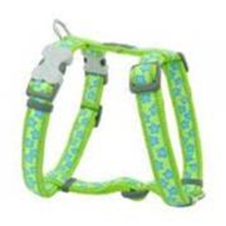 Harness Stars Turq/Grn Neck 25-39cm