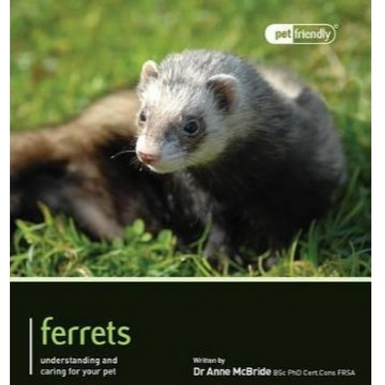 FERRET PET FRIENDLY