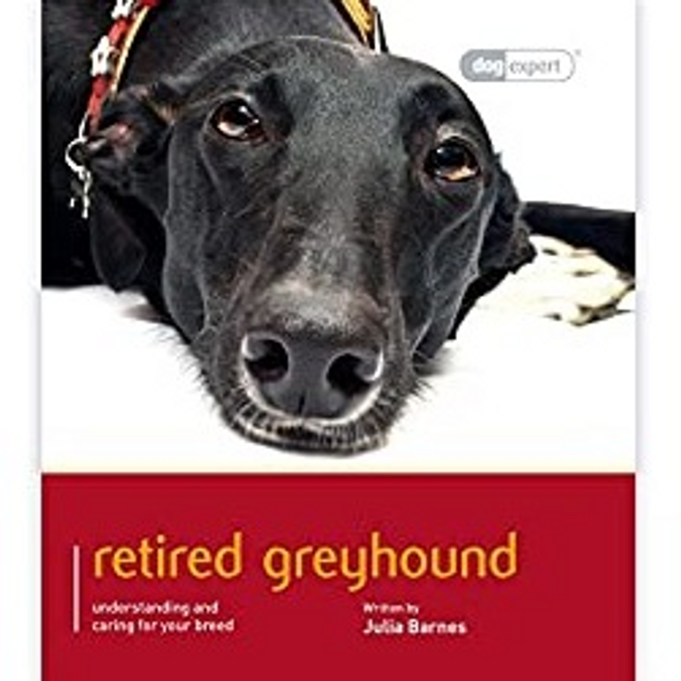 RETIRED GREYHOUND - DOG EXPERT