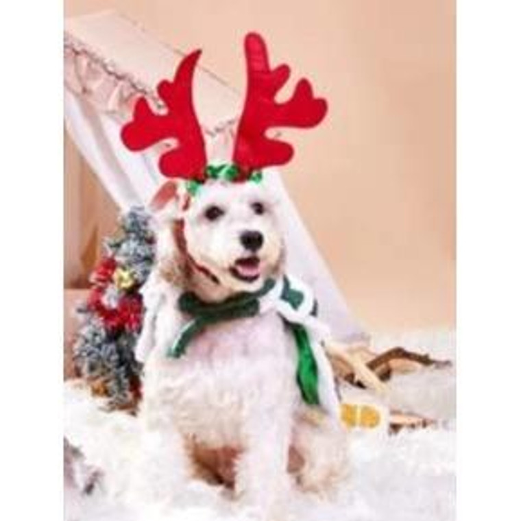 Antlers Décor Pet Headwear