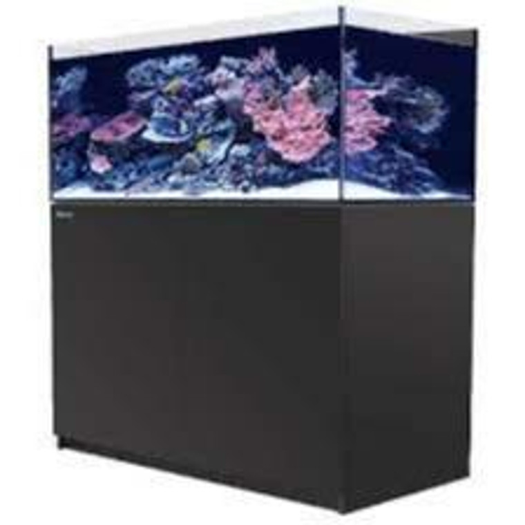 RED SEA REEFER 425 BLACK