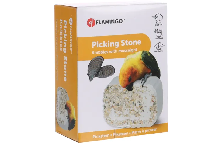 Flamingo Picking Stone