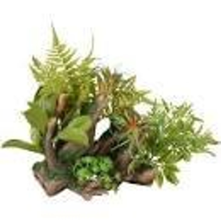 AD DIO ROOTS+PLANT 36x31x33CM