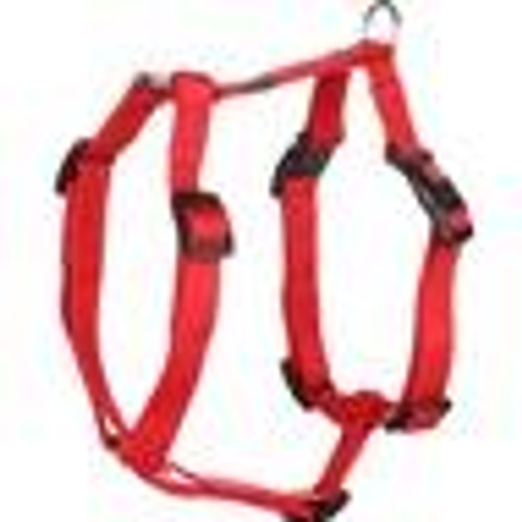 H-HARNESS ZIGGI RED