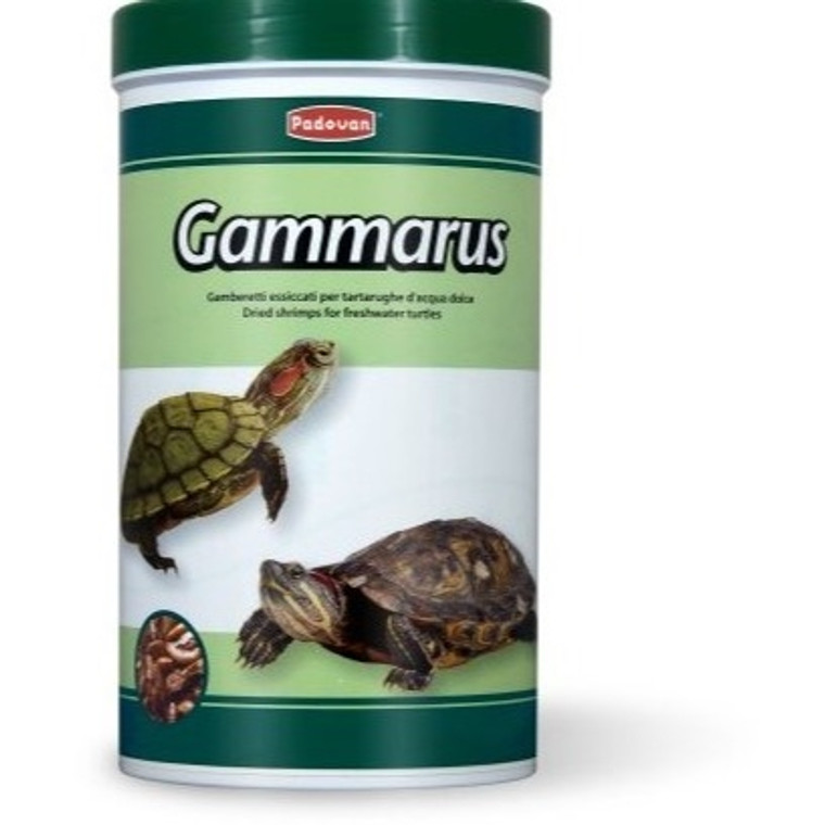 Padovan Gammarus 1L 130G