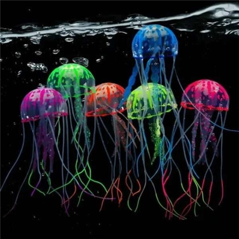 Jelly Fish Fluorescent