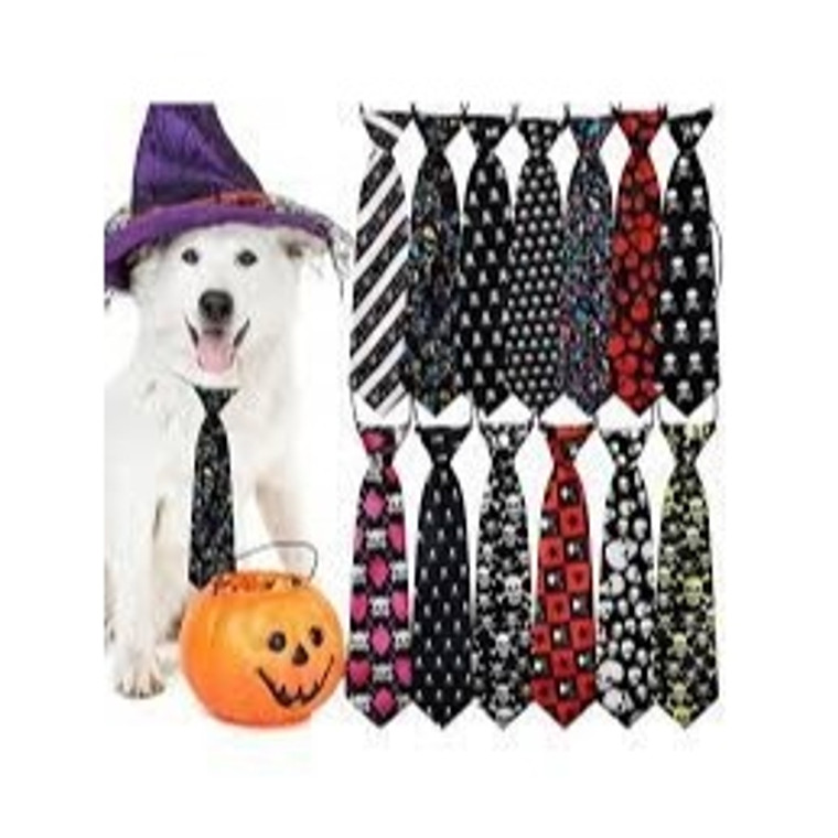 Halloween Skull Patterned Large Dog Collar & Bow Tie Set