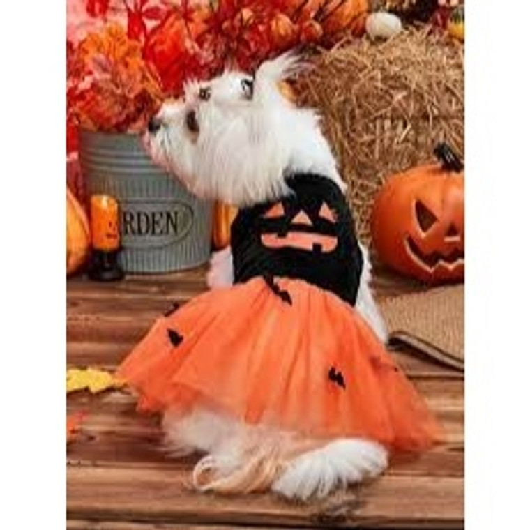 Halloween Printed Pet Skirt