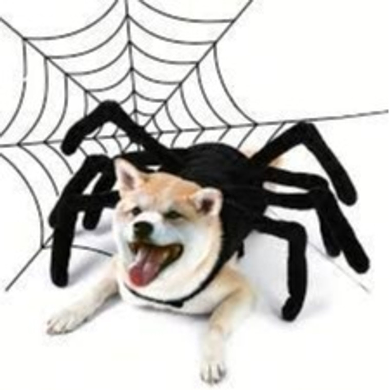 1pc Pet Halloween Cute Funny Costumes: Creative Spider Chest Back Clothes For Small & Medium Dogs & Cats!