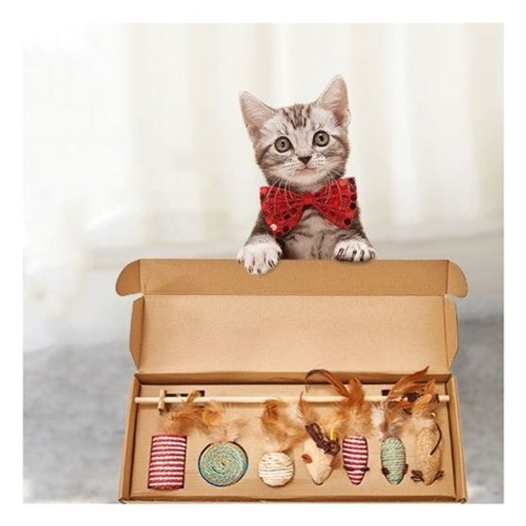 Meow Cat Surprice Box - Size: 42X17X5CM
