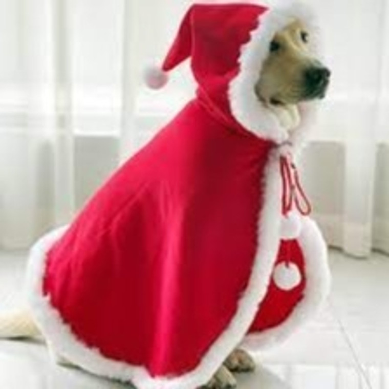 Christmas Pet Hooded Cape