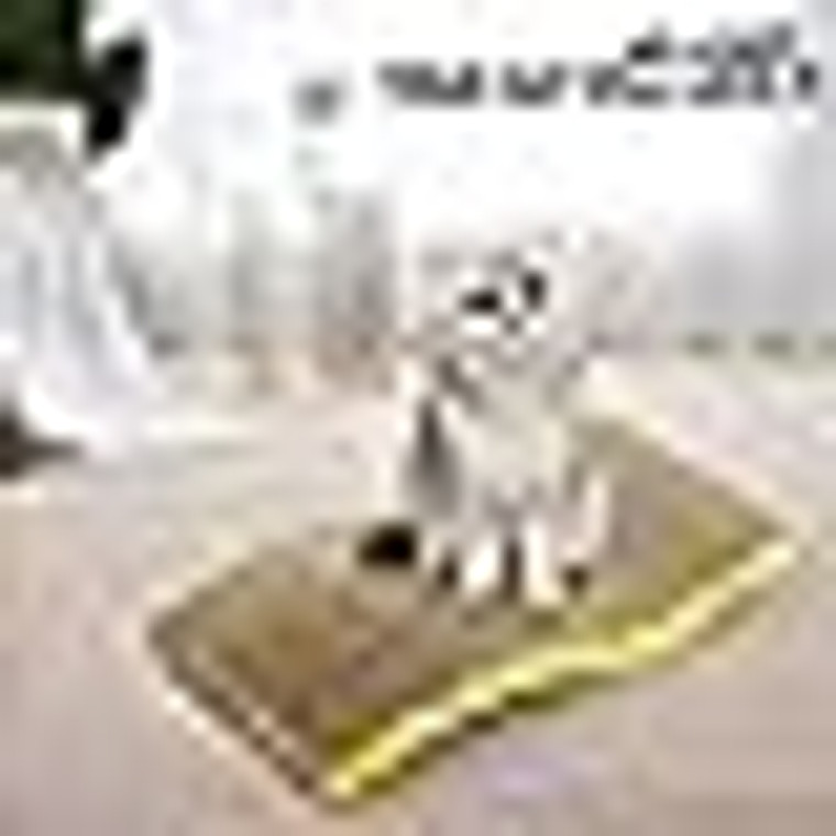 Saas cat Scratching Post Small 38*20*3.8 cm