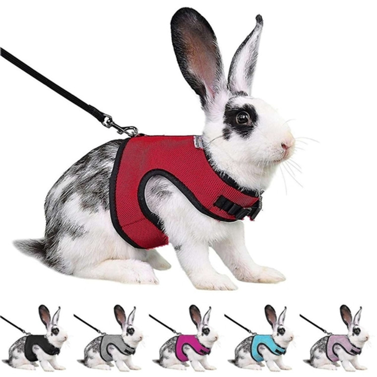 Small Animal Harness Set