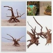 Smart Fish Driftwood Medium Size 15x20 CM