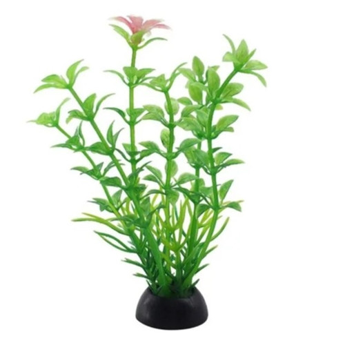 AQUABROO ZENITH PLASTIC PLANT 3 INCH