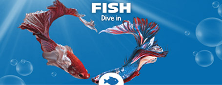 Mega Menu Image Mega Menu Image