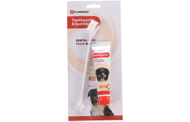 Flamingo Toothbrush & Toothpaste (Chicken Flavor) Bundle - Pet World
