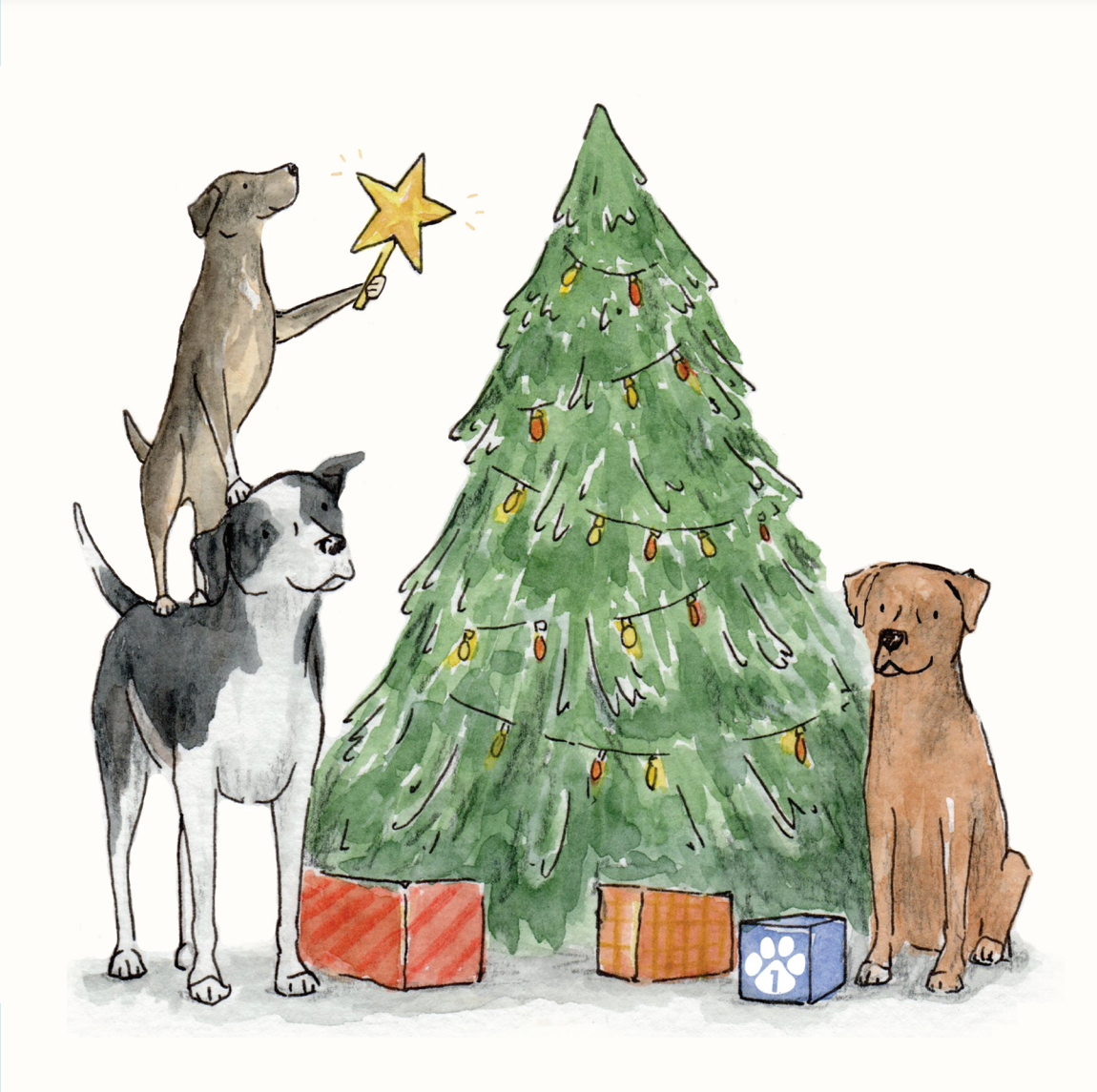Charity Christmas Cards to Support Romanian Rescue Dogs