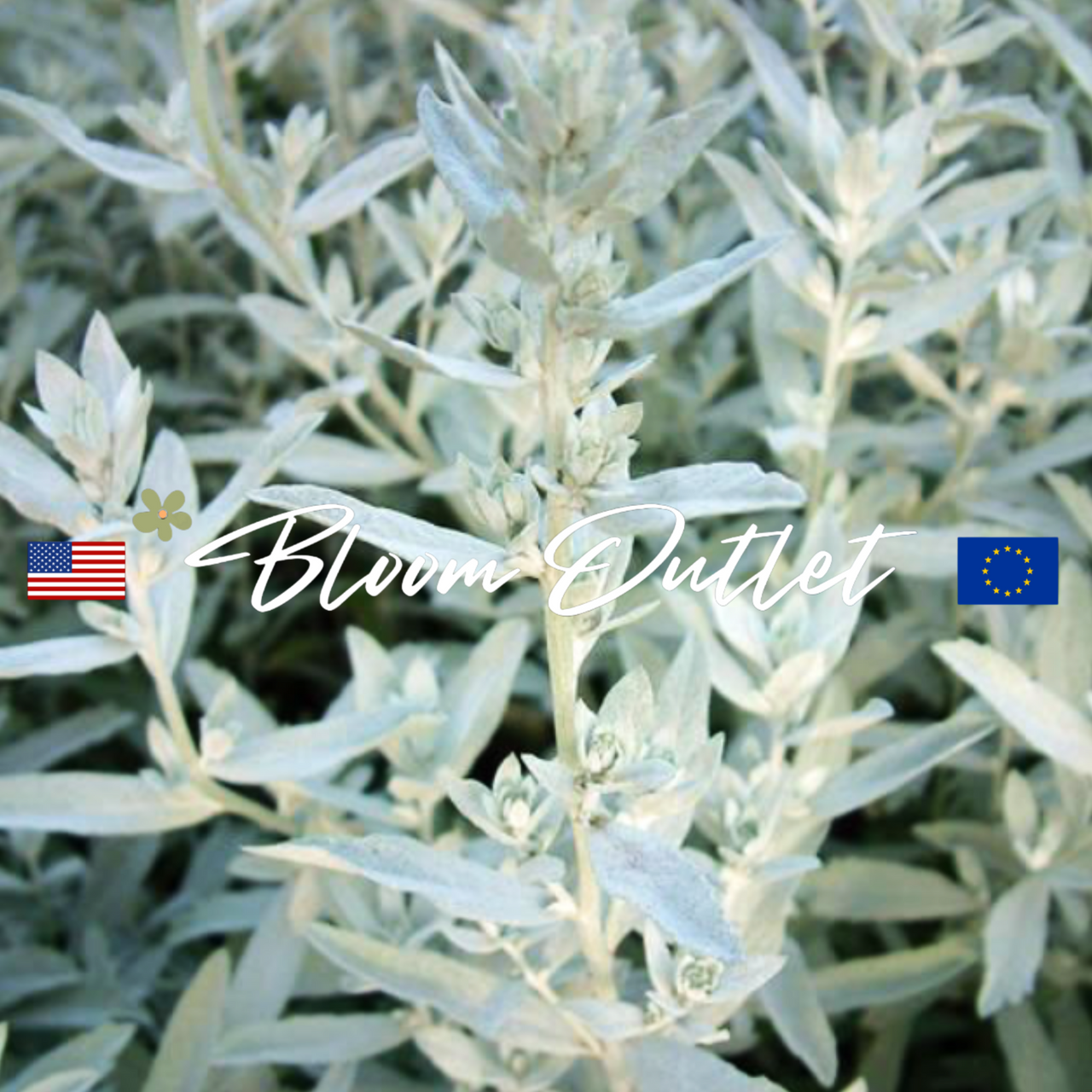 5 gallon planter pots Nursery Supplies