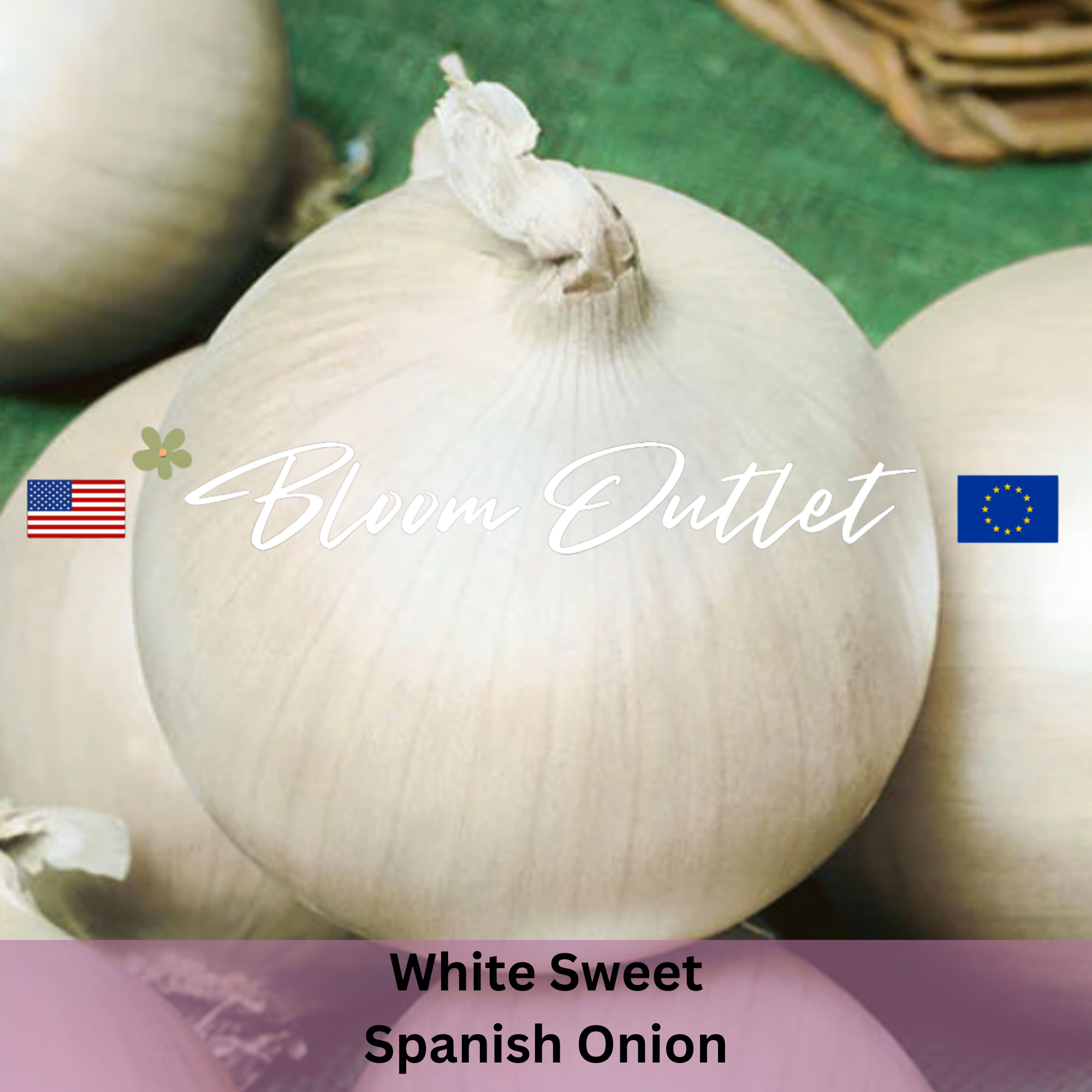 Flower & Garden Seeds | Bloom Outlet