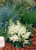 Astilbe arendsii 'Astary® White' | BULK False Spirea Flower Seeds