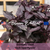 DARK OPAL PURPLE Basil Seeds (Ocimum basilicum)