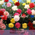 CHABAUD MIX - Carnation Seeds (Dianthus caryophyllus)