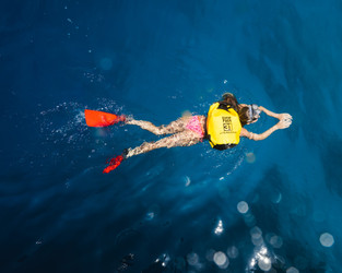 Snorkeling 101: 8 Equipment and Supplies for a Great Experience