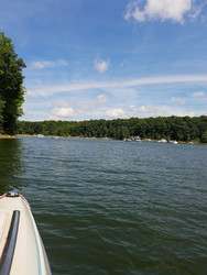 Mermaids Spotted in Local Lake