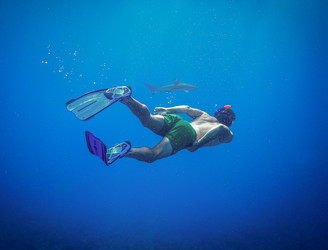 What Are the Reasons Fins Are Necessary When Snorkeling