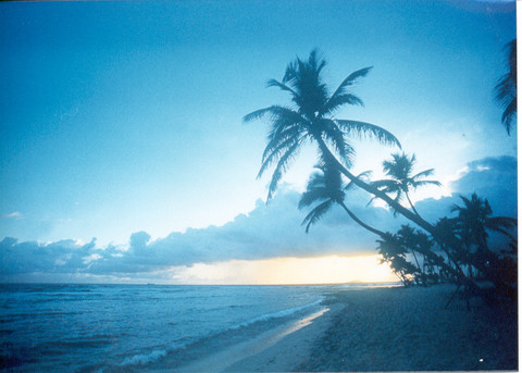 Why Aruba Should be Your Next Vacation Destination Why Aruba Should be Your Next Vacation Destination
