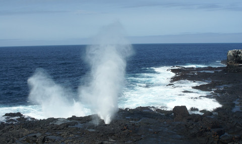 A Guide to the Galapagos A Guide to the Galapagos
