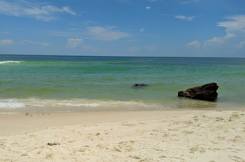 Snorkeling in Panama City Snorkeling in Panama City