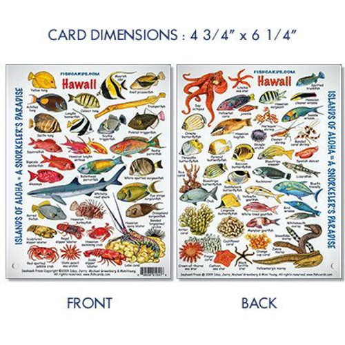 Waterproof Mini Guide Waterproof Mini Guide