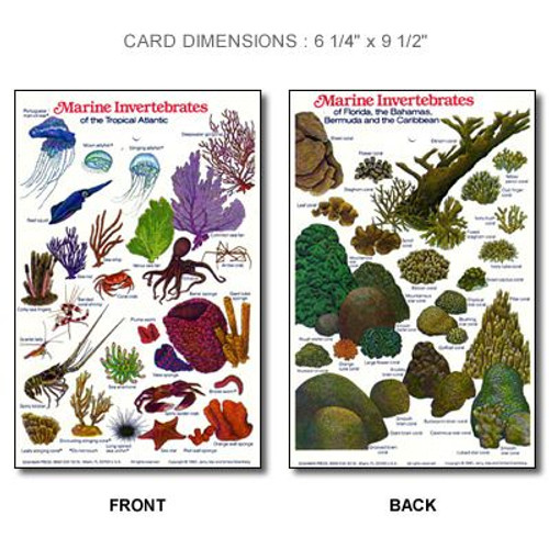 Waterproof ID Guide Waterproof ID Guide