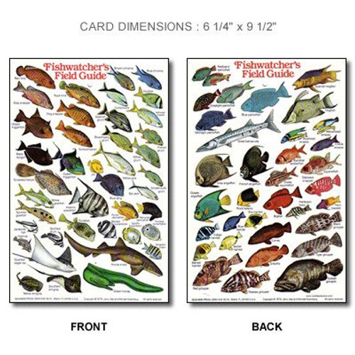 Waterproof ID Guide Waterproof ID Guide