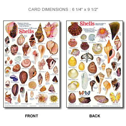 Waterproof ID Guide Waterproof ID Guide