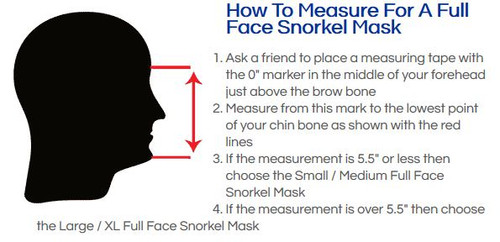 Buddy Full Face Mask - Adult Snorkeling Set