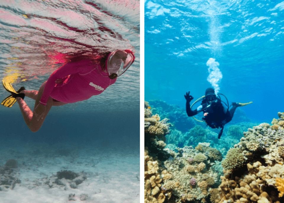 Snorkeling vs Scuba Diving How Are They Different? SnorkelMart