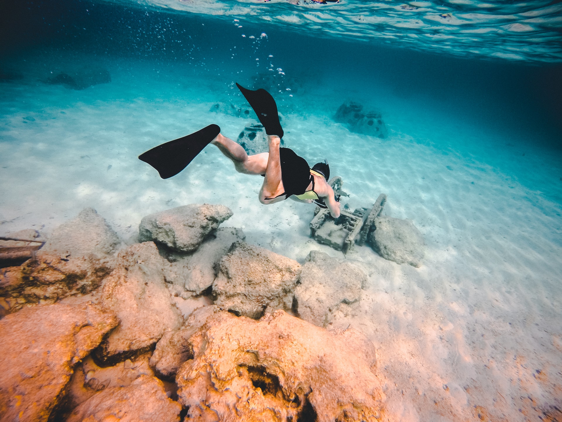 Under the Sea How Snorkeling Works Underwater SnorkelMart