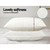 Giselle Bedding Set of 2 Visco Elastic Memory Foam Pillows(MATTRESS-LUX-PILLOWX2)